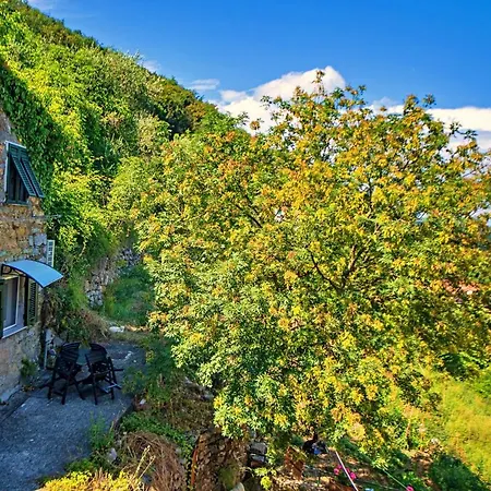 Apartament Tourist Dependance 
